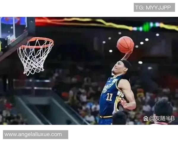 2016年山西与辽宁篮球对决回顾及赛季表现分析