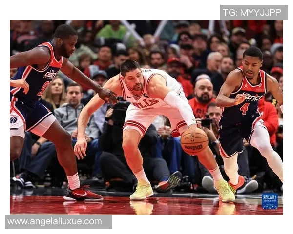 2003年NBA季后赛奇才与公牛的精彩对决回顾与分析