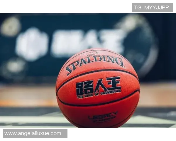 博格丹博格达诺维奇的篮球之路与成就探讨