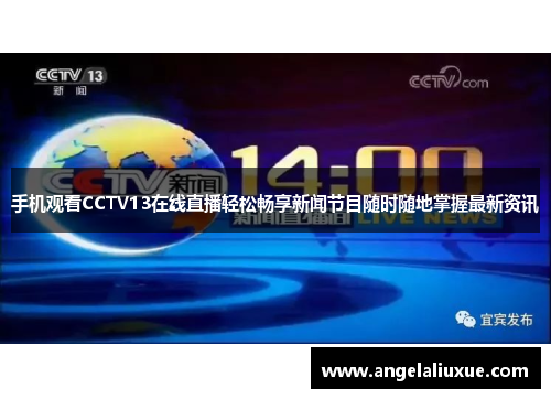 手机观看CCTV13在线直播轻松畅享新闻节目随时随地掌握最新资讯