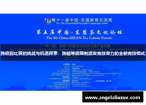 跨级别比赛的挑战与机遇探索：跨越等级限制激发竞技潜力的全新竞技模式